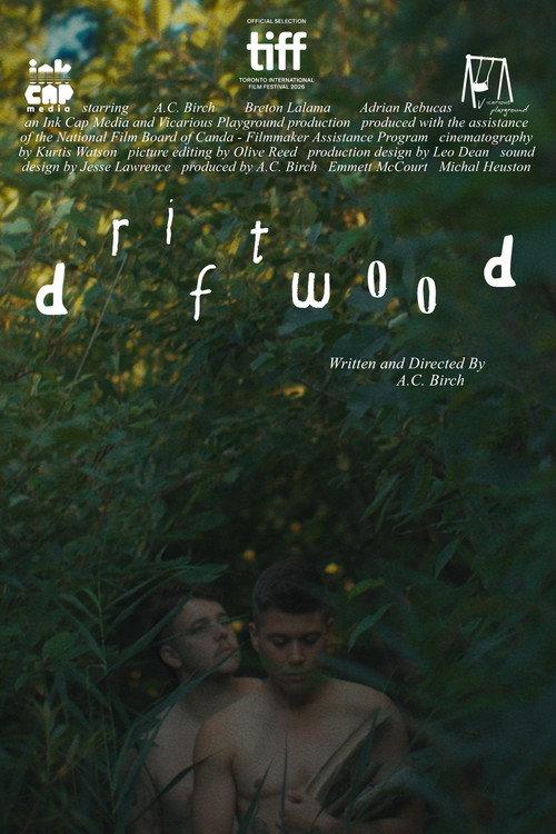Driftwood 2026 official movie poster
