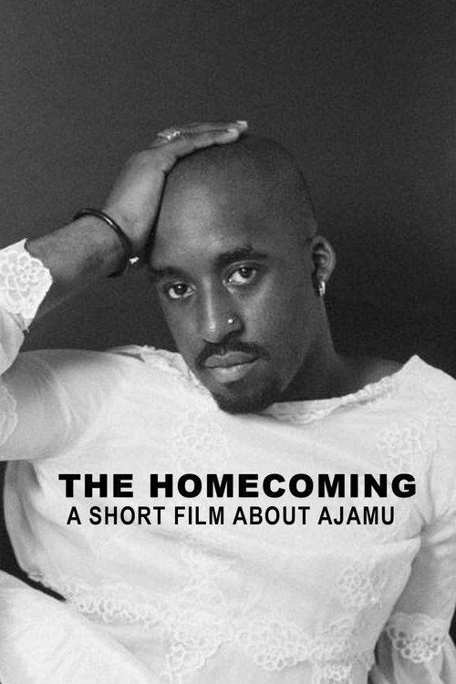The Homecoming: A Short Film About Ajamu 1996 official movie poster