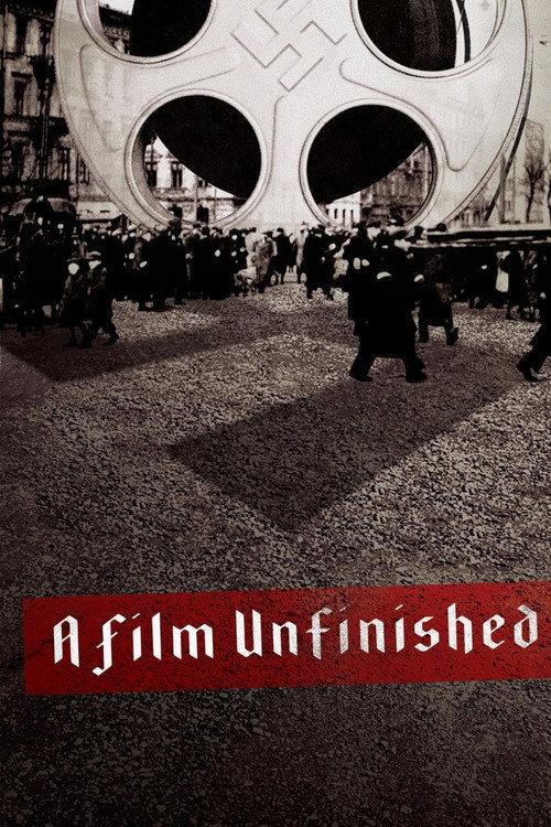 A Film Unfinished 2010 official movie poster