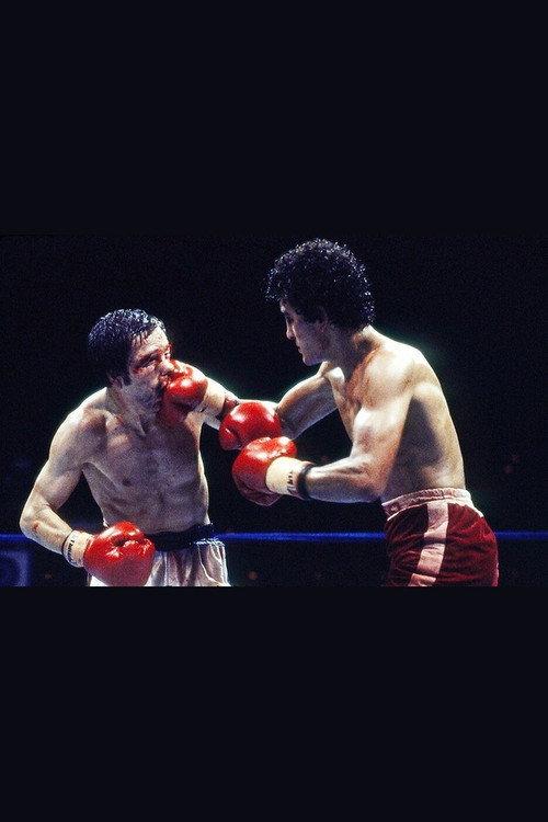 Salvador Sanchez vs. Pat Cowdell 1981 official movie poster