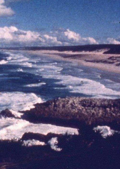 Ocean at Point Lookout 1977 official movie poster