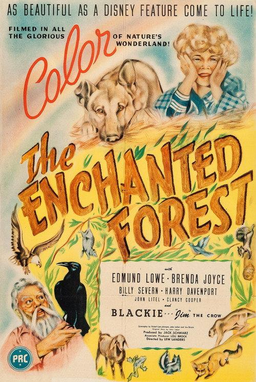 The Enchanted Forest 1945 official movie poster