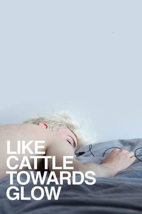 Like Cattle Towards Glow 2015 official movie poster