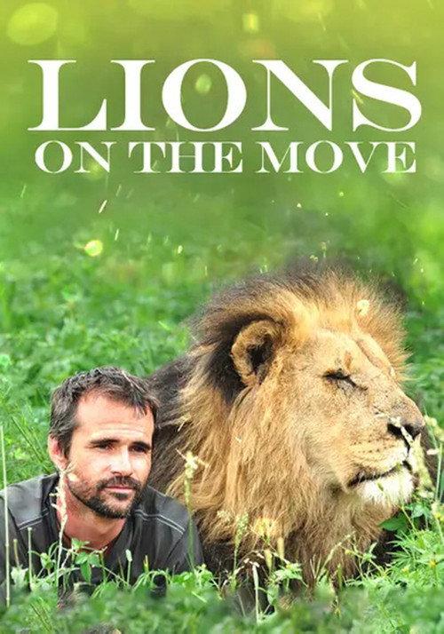 Lions on the Move 2013 official movie poster