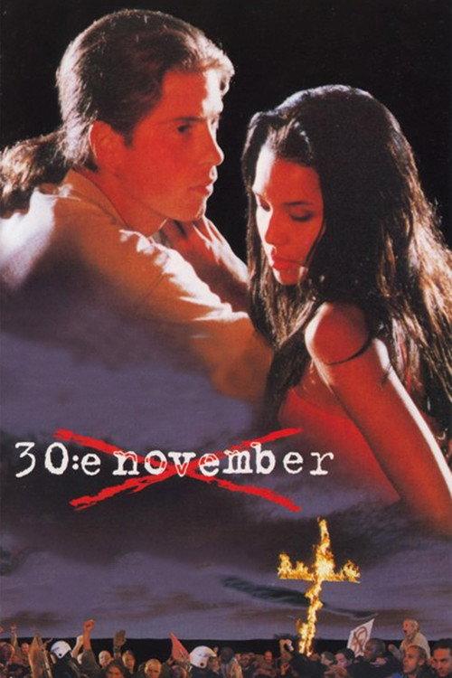 November 30th 1995 official movie poster