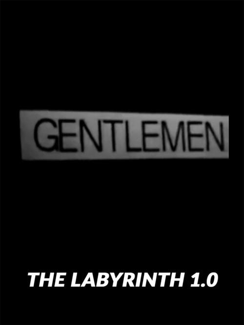The Labyrinth 1.0 2017 official movie poster