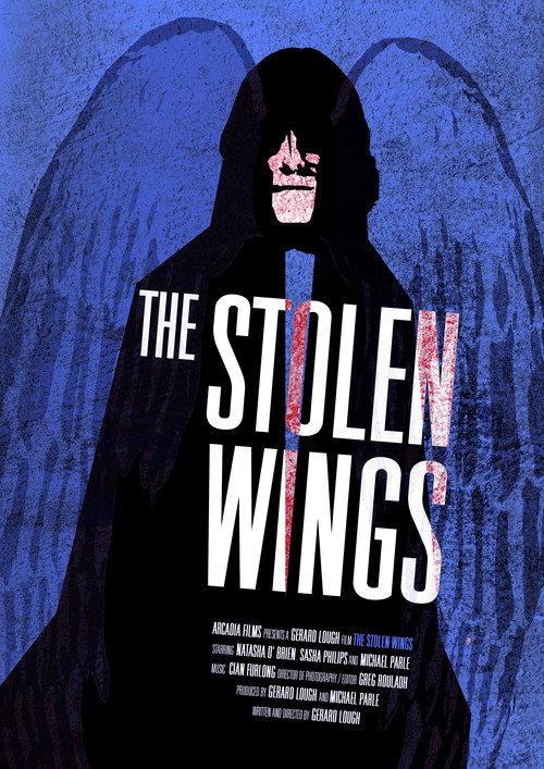 The Stolen Wings 2009 official movie poster