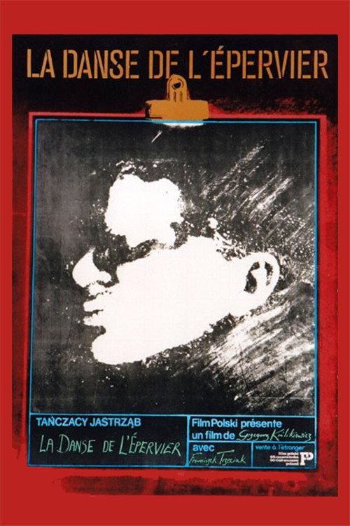 The Dance of the Hawk 1984 official movie poster