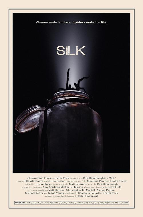 Silk 2014 official movie poster