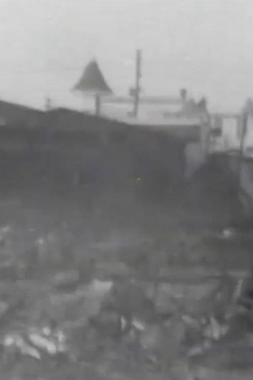 The Great Fire Ruins, Coney Island 1903 official movie poster