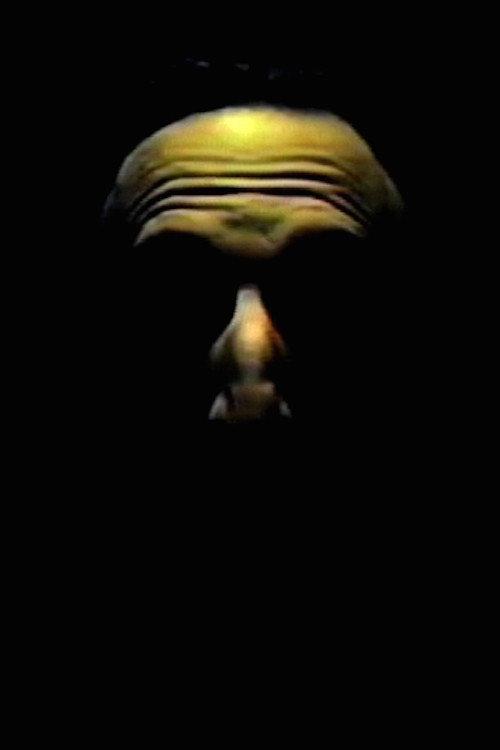 Digital Speech 1984 official movie poster