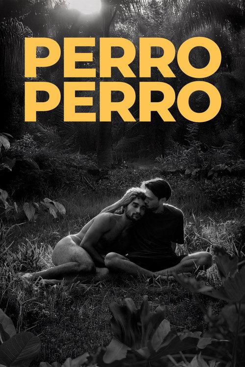 Perro perro 2025 official movie poster