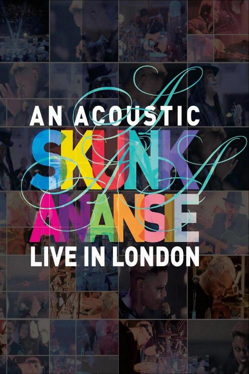 Skunk Anansie - An Acoustic Skunk Anansie Live In London 2013 official movie poster