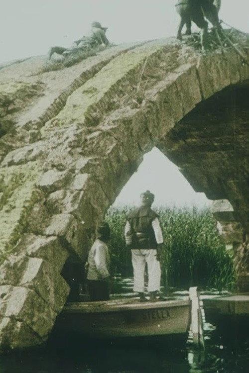 Glimpses in Colour from the Whole World - In the Gorse of Vadar 1916 official movie poster