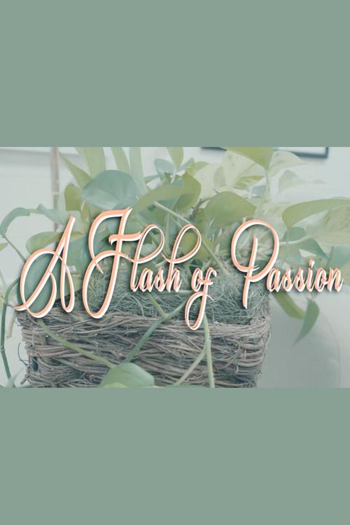 A Flash Of Passion 2025 official movie poster