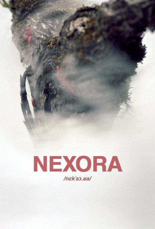 Nexora official movie poster