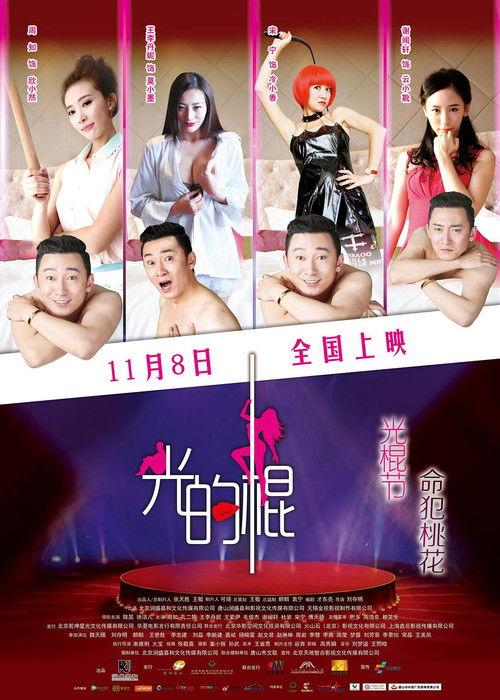 Bachelor's Love 2013 official movie poster