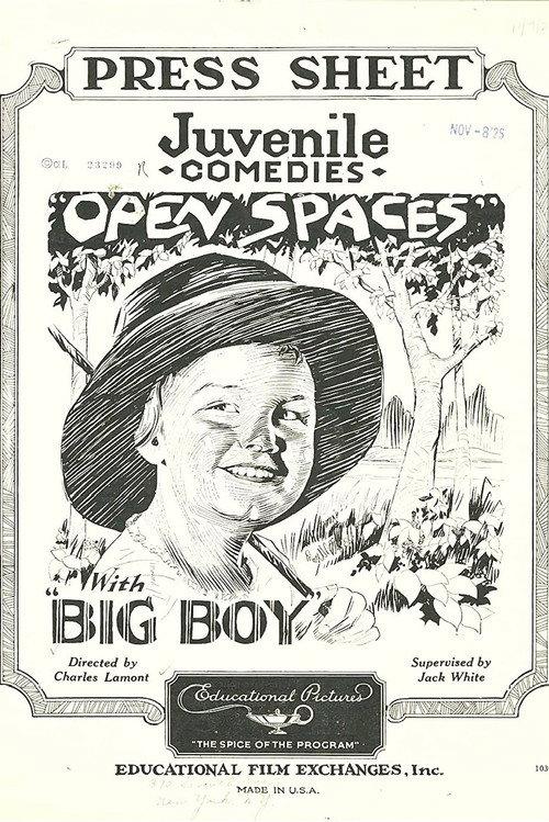 Open Spaces 1926 official movie poster