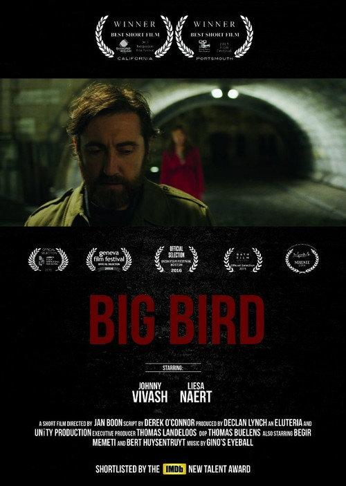 Big Bird 2015 official movie poster