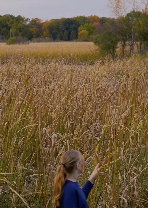 Wheat and Chaff 2025 official movie poster