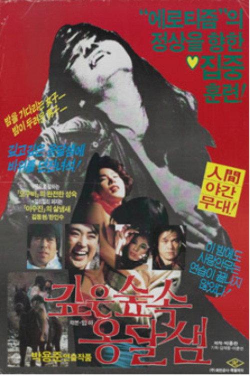 Spring in the Deep Mountain 1985 official movie poster