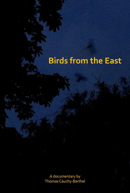 Les oiseaux de l'Est 2025 official movie poster