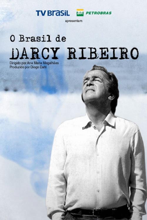O Brasil de Darcy Ribeiro 2014 official movie poster