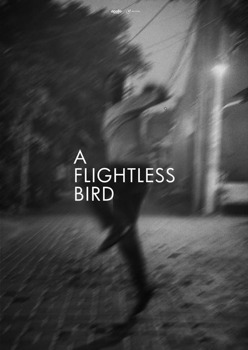A Flightless Bird official movie poster