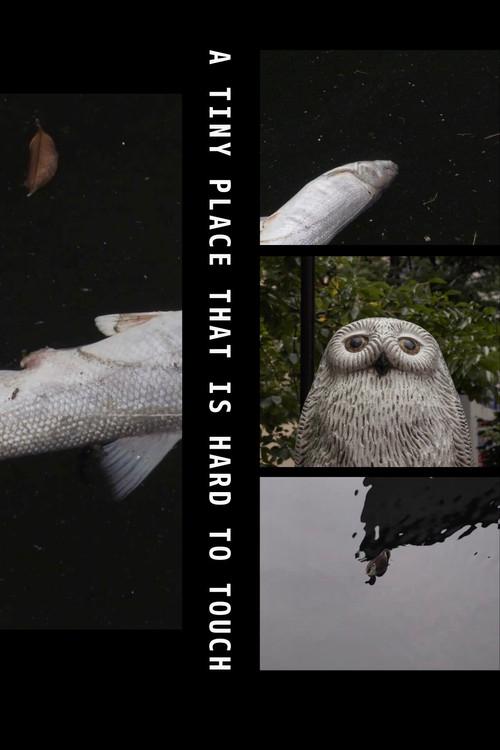 A Tiny Place That Is Hard to Touch 2019 official movie poster