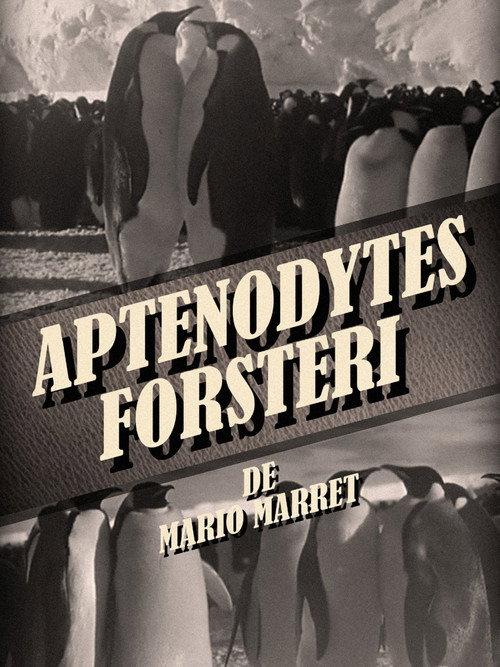 Aptenodytes Forsteri 1954 official movie poster