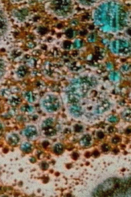 The Galilean Satellites- Callisto 2003 official movie poster