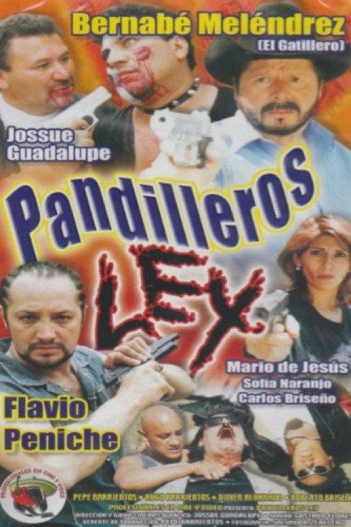 Pandilleros Ley 2005 official movie poster