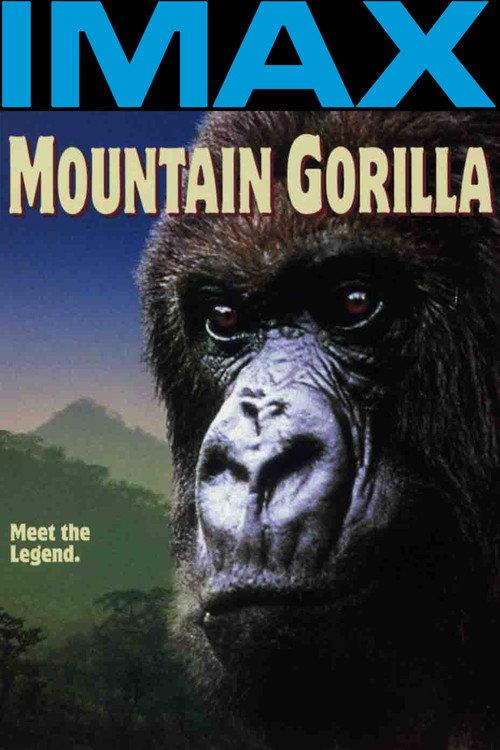 Mountain Gorilla 1992 official movie poster