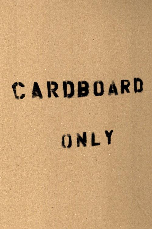 Cardboard Only 2001 official movie poster