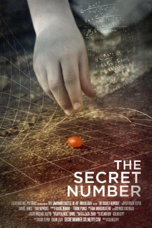 The Secret Number 2012 official movie poster