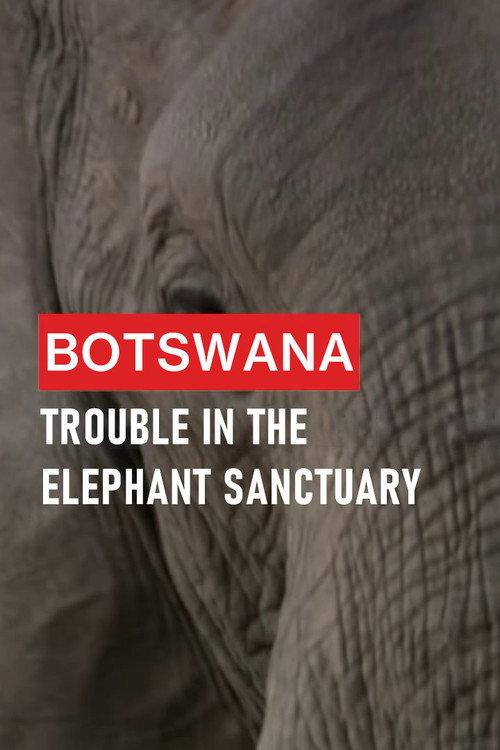 Botswana: Trouble in the Elephant Sanctuary 2019 official movie poster