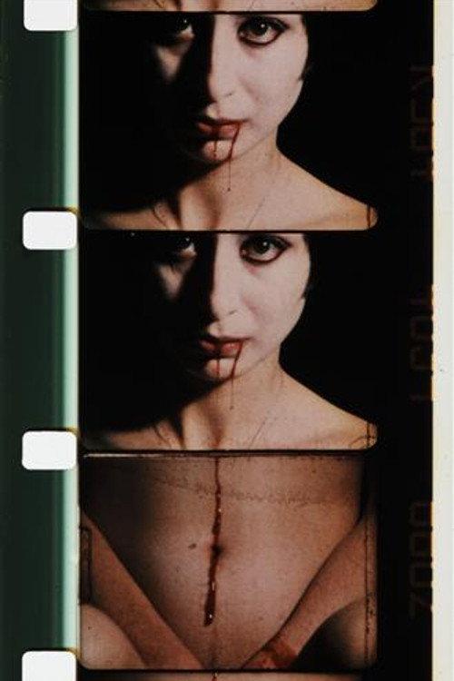 Double Labyrinthe 1976 official movie poster