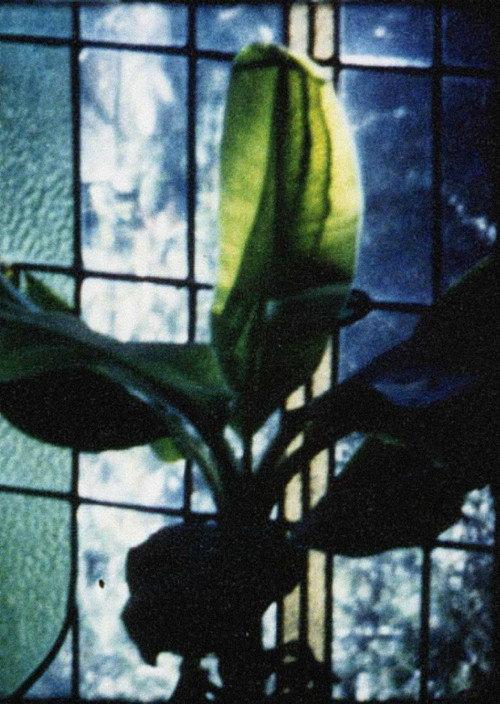 Articulated Image 1996 official movie poster