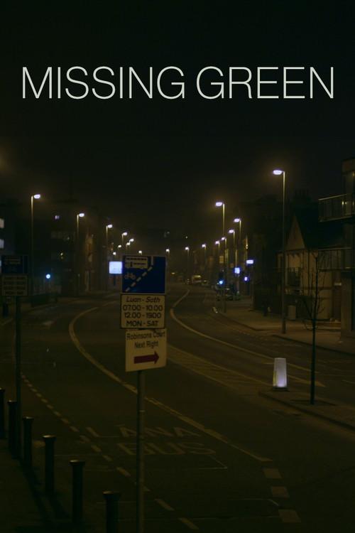 Missing Green 2013 official movie poster