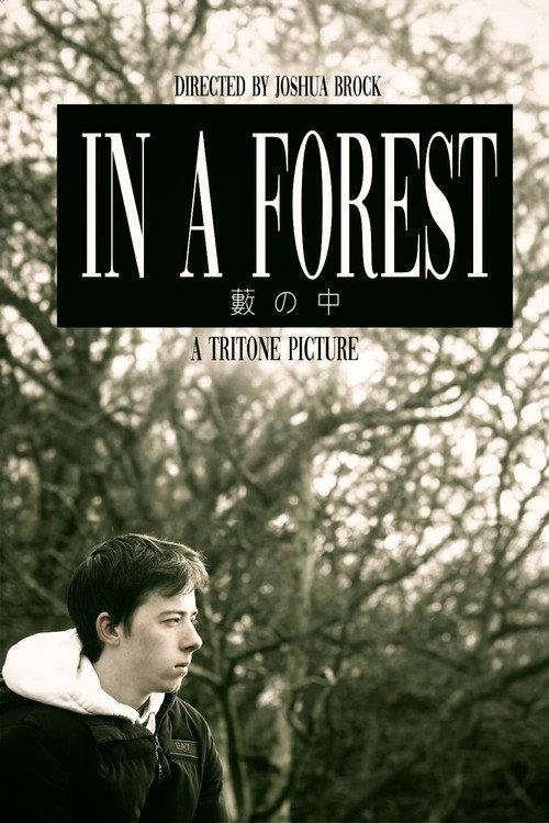 In a Forest 2024 official movie poster