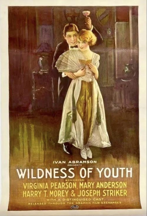 Wildness of Youth 1922 official movie poster