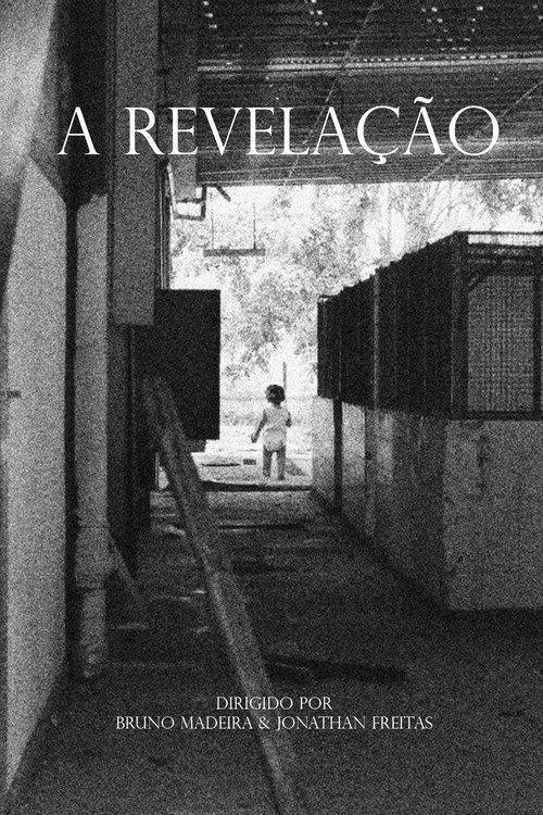 The Developing 2019 official movie poster