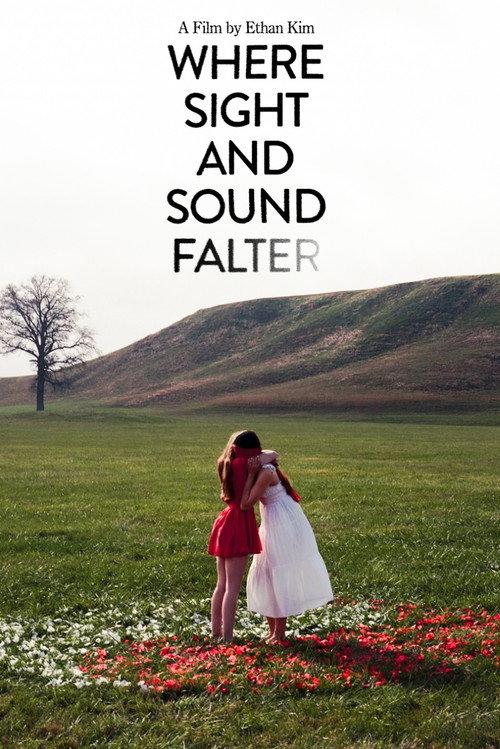 Where Sight and Sound Falter  official movie poster