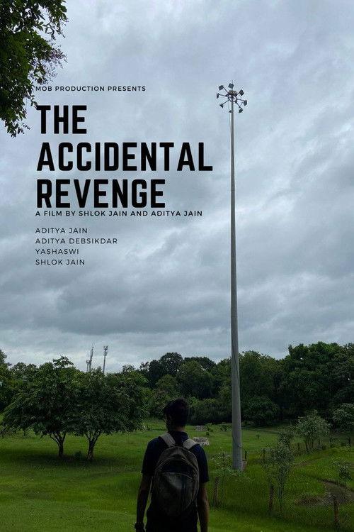 The Accidental Revenge 2023 official movie poster