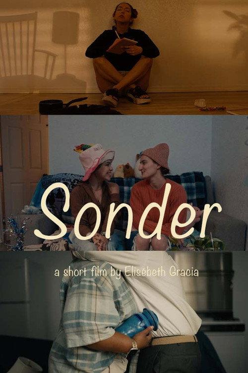Sonder 2026 official movie poster