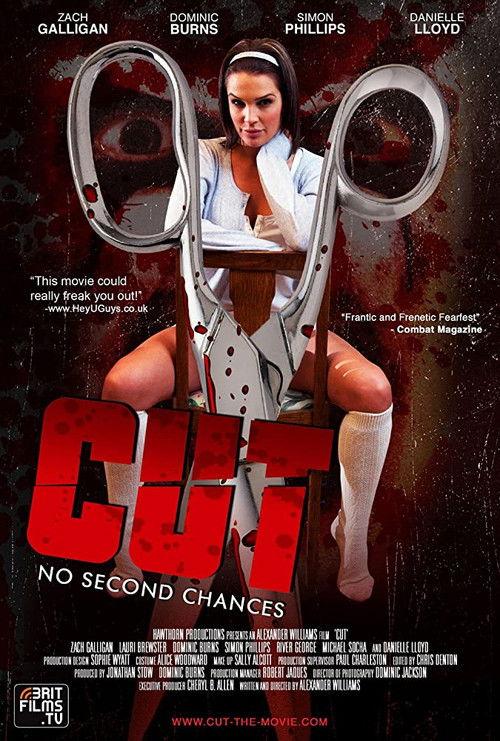 Cut 2010 official movie poster