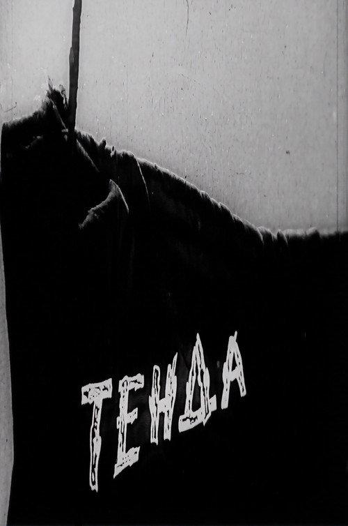 Shelter 1955 official movie poster