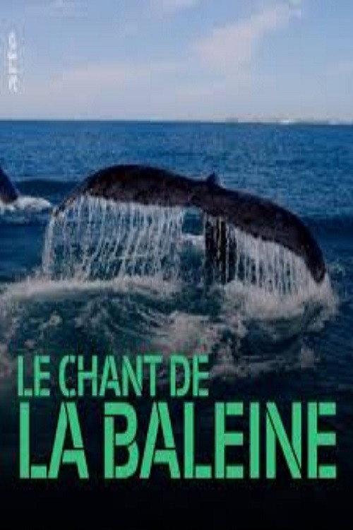 Whale Patrol 2009 official movie poster