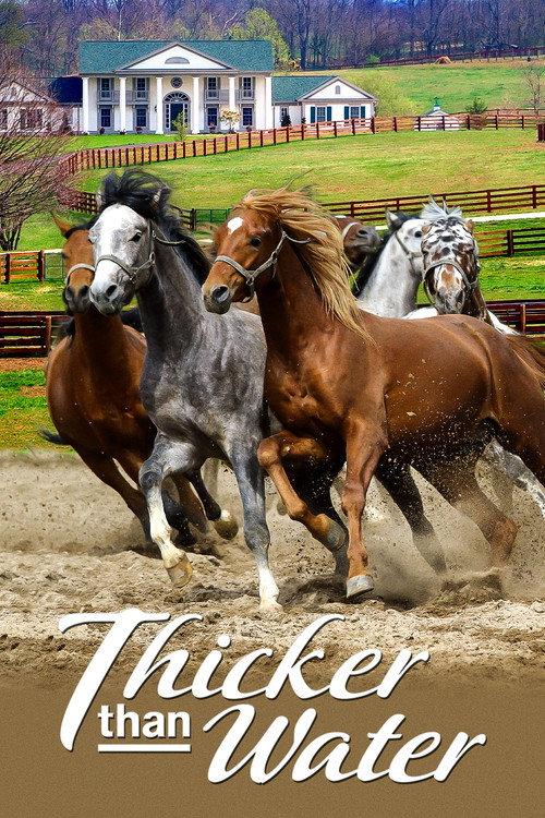Thicker Than Water 2005 official movie poster