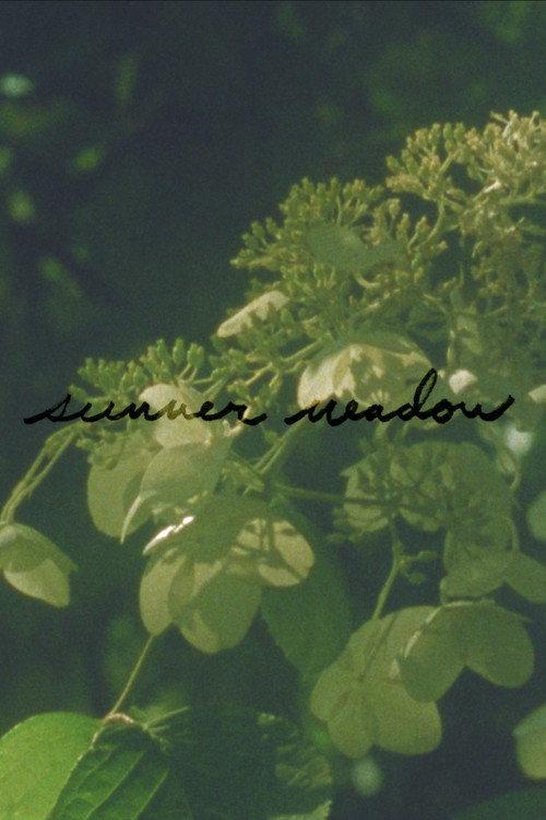 Summer Meadow 2024 official movie poster
